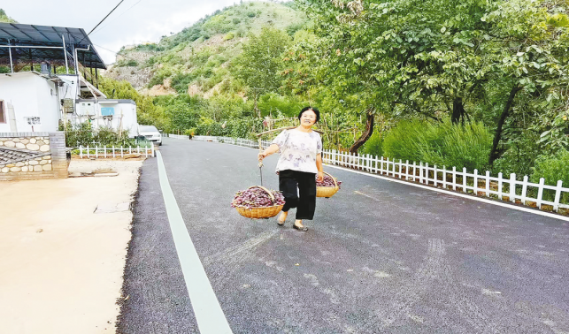 一條柏油路，串起果農(nóng)新生活