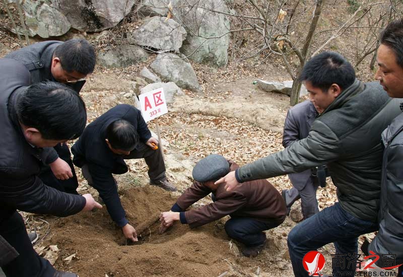 商南縣政府開展送政策、送技術(shù)、送溫暖活動(dòng)